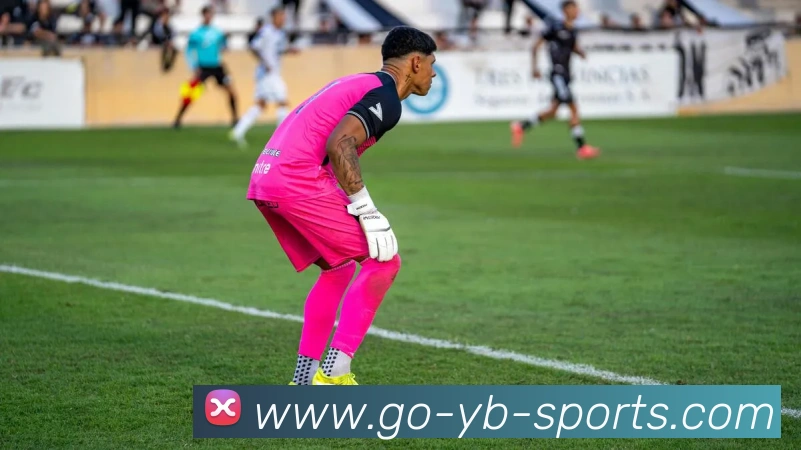 友博体育全站App